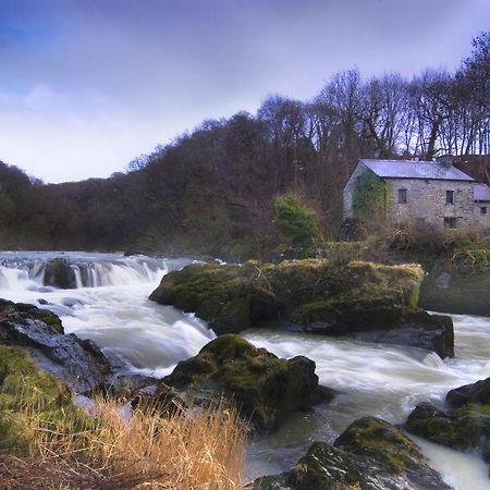 Garden Cottage Newcastle Emlyn Dış mekan fotoğraf