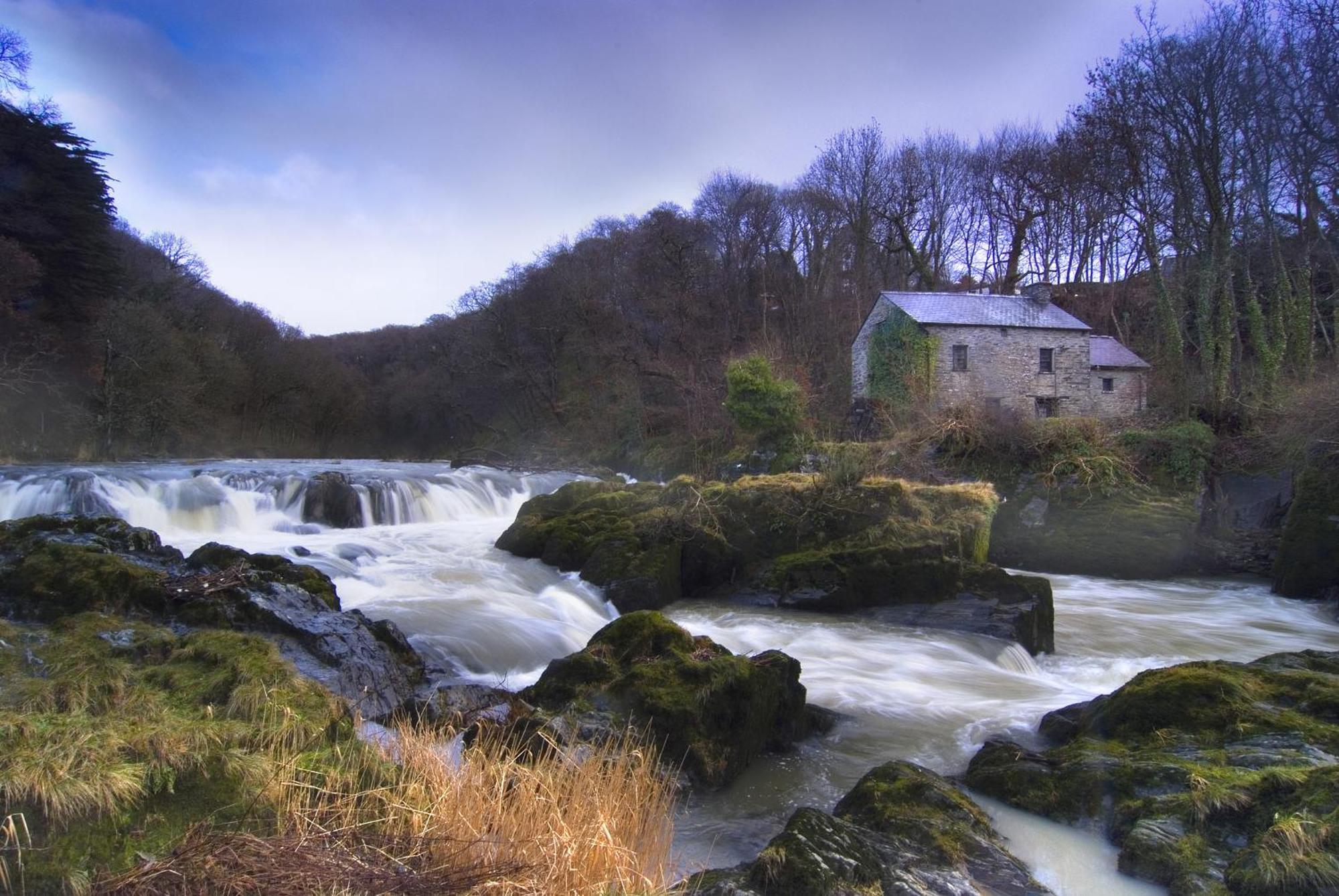 Garden Cottage Newcastle Emlyn Dış mekan fotoğraf